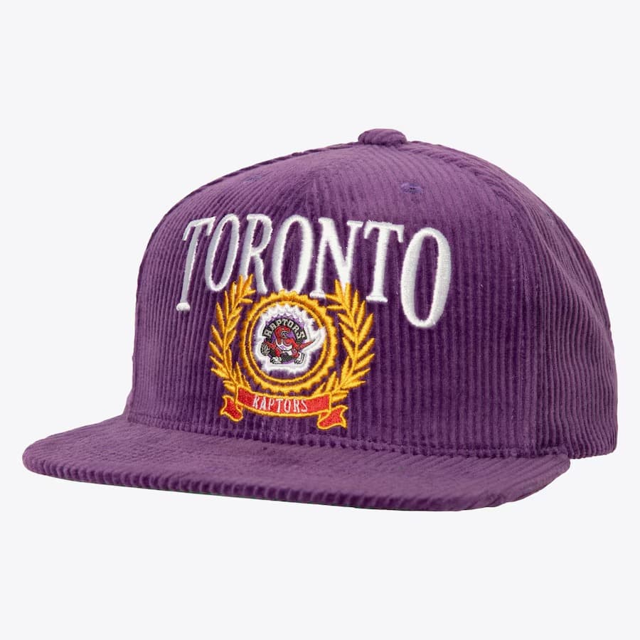 bejsbolka-mitchell-ness-purple-toronto-raptors-hardwood-classics-levelz-snapback-hat