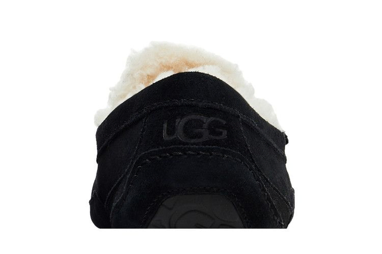 Кроссовки UGG Ascot Slipper 'Black'