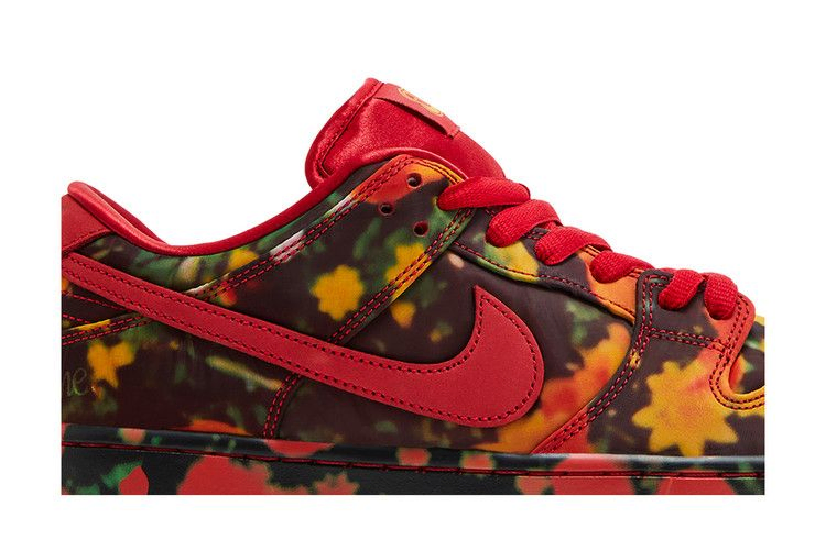 Кроссовки Nike The Wizard of Oz x Dunk Low SB 'Poppy Field'