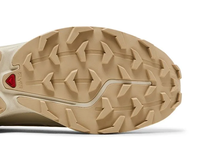 Кроссовки Salomon XT-6 GORE-TEX 'Almond Milk'