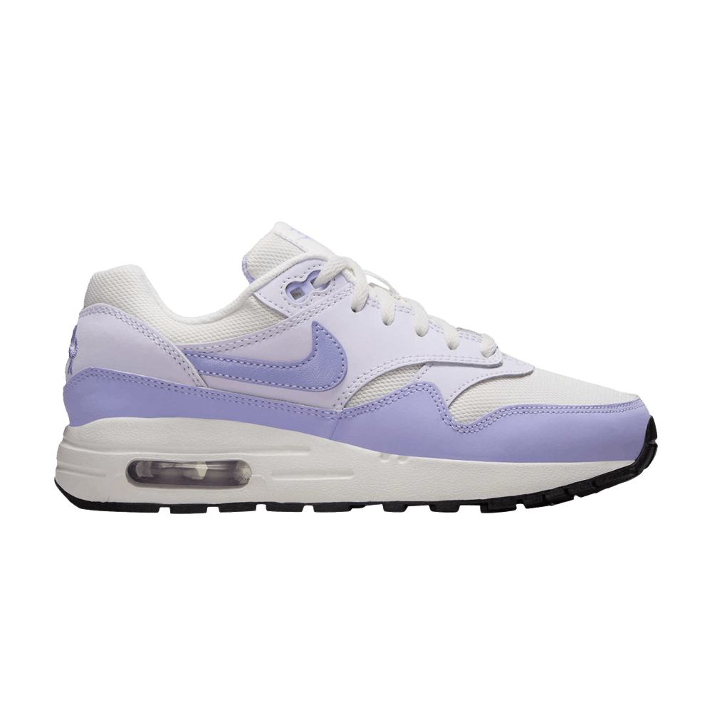 air-max-1-gs-hydrangeas-dz3307-011