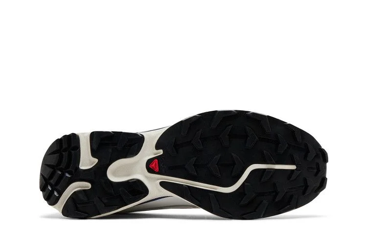 Кроссовки Salomon XT-6 'Lunar Rock Liberty'