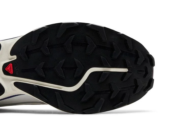 Кроссовки Salomon XT-6 'Lunar Rock Liberty'