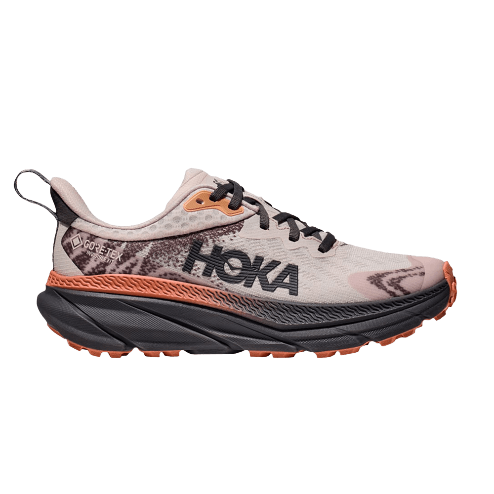 wmns-challenger-atr-7-gore-tex-cosmic-pearl-1134502-clx
