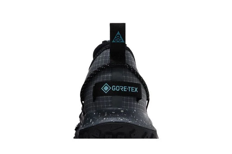 Кроссовки Nike ACG Mountain Fly Low GORE-TEX 'Black Dark Grey'