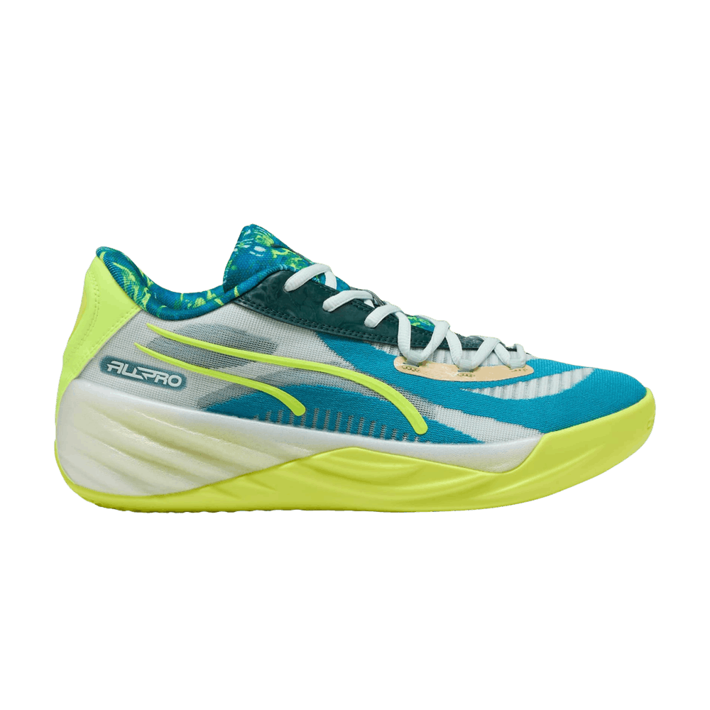 all-pro-nitro-hoops-dreamz-311355-01