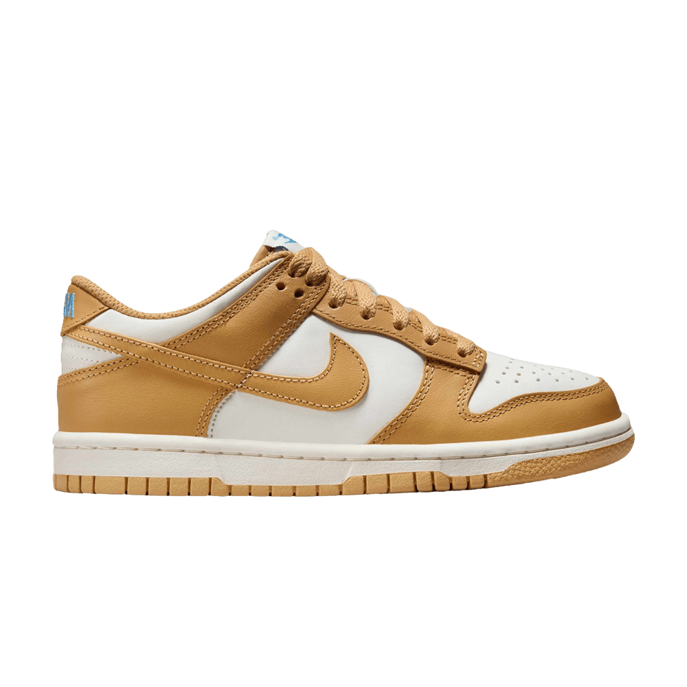 dunk-low-gs-honeycomb-fb9109-700