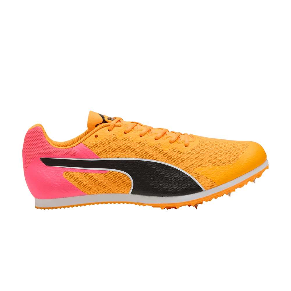 evospeed-star-9-sun-stream-311379-01