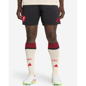 Выездная форма (основной цвет по официальной версии сезона)