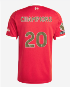 Домашняя форма