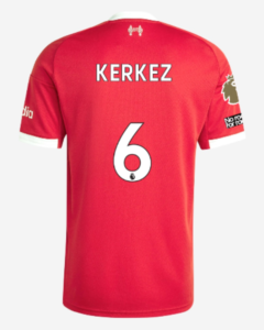 Домашняя форма