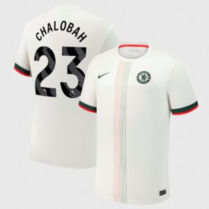 Преобладающий белый с красными и зелеными акцентами, Вдохновленный исторической формой.