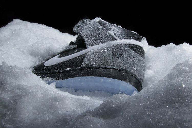 Кроссовки Nike Dunk Hi SB Premier SE 'Petoskey'