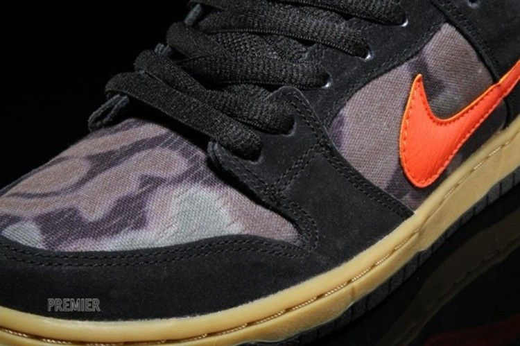 Кроссовки Nike SB Dunk Low Premium 'Brian Anderson'