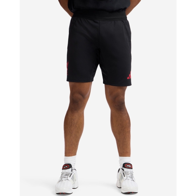 futbolnye-shorty-liverpool-fc-adidas-mens-25-26-authentic-away-shorts
