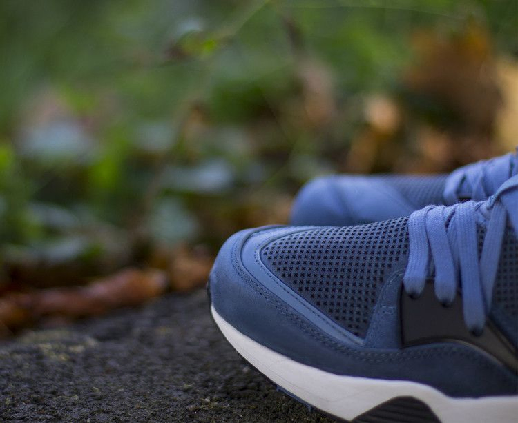 Кроссовки Puma Trinomic Blaze TECH