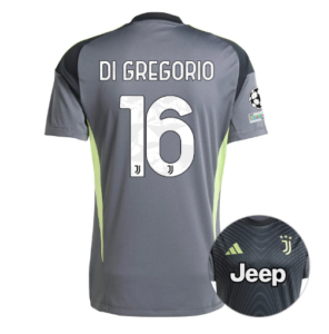 Официальная домашняя расцветка сезона 25, 26