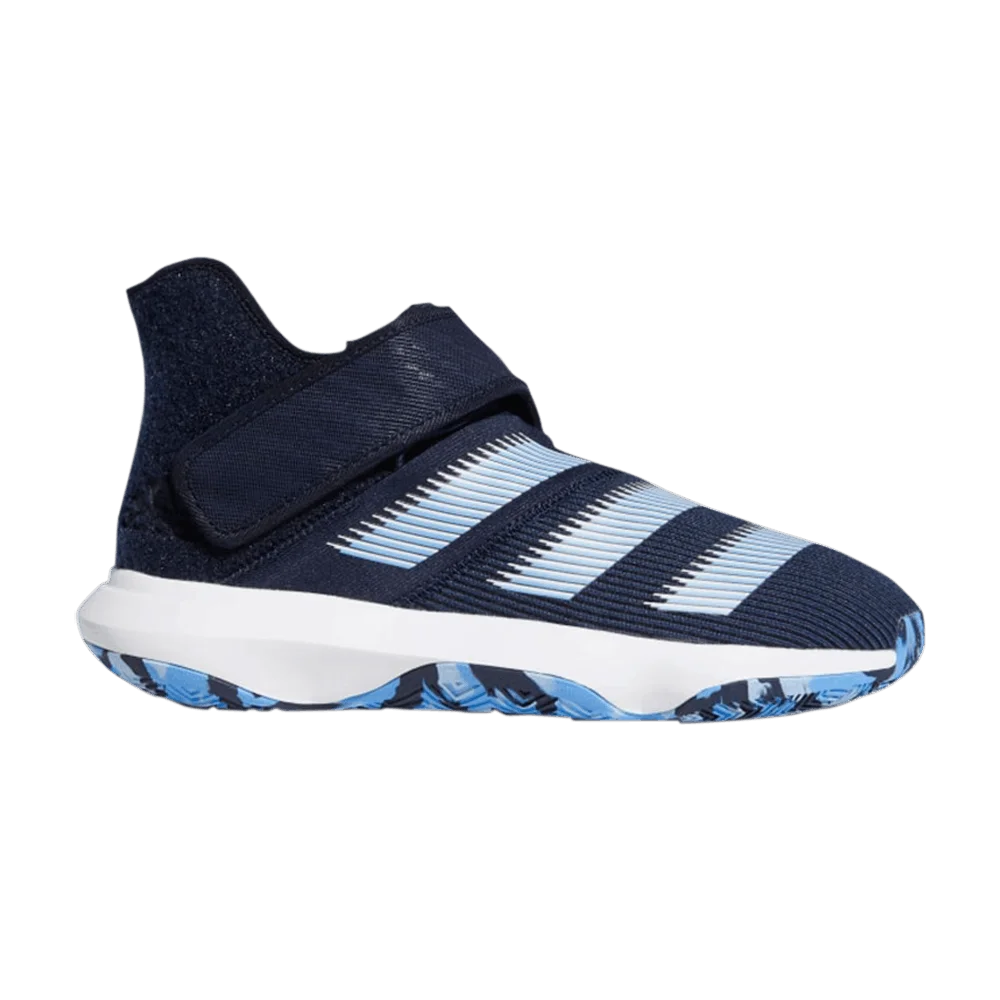 Кроссовки Adidas Harden B/E 3 'Collegiate Royal'