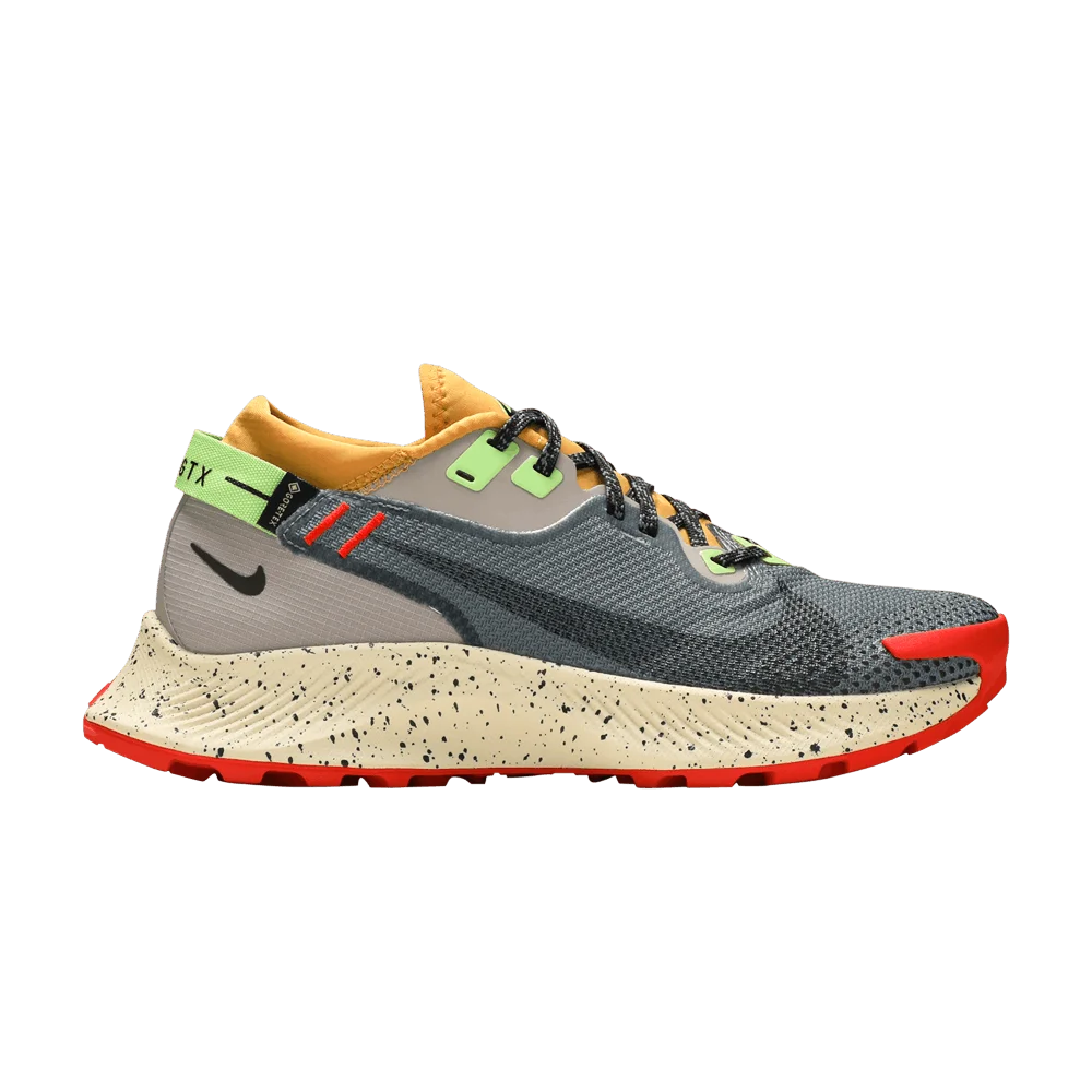 Кроссовки Nike Wmns Pegasus Trail 2 GTX 'Smoke Grey Bucktan'