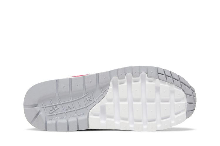 Кроссовки Nike Air Max 1 GS 'Wolf Grey Rush Pink'