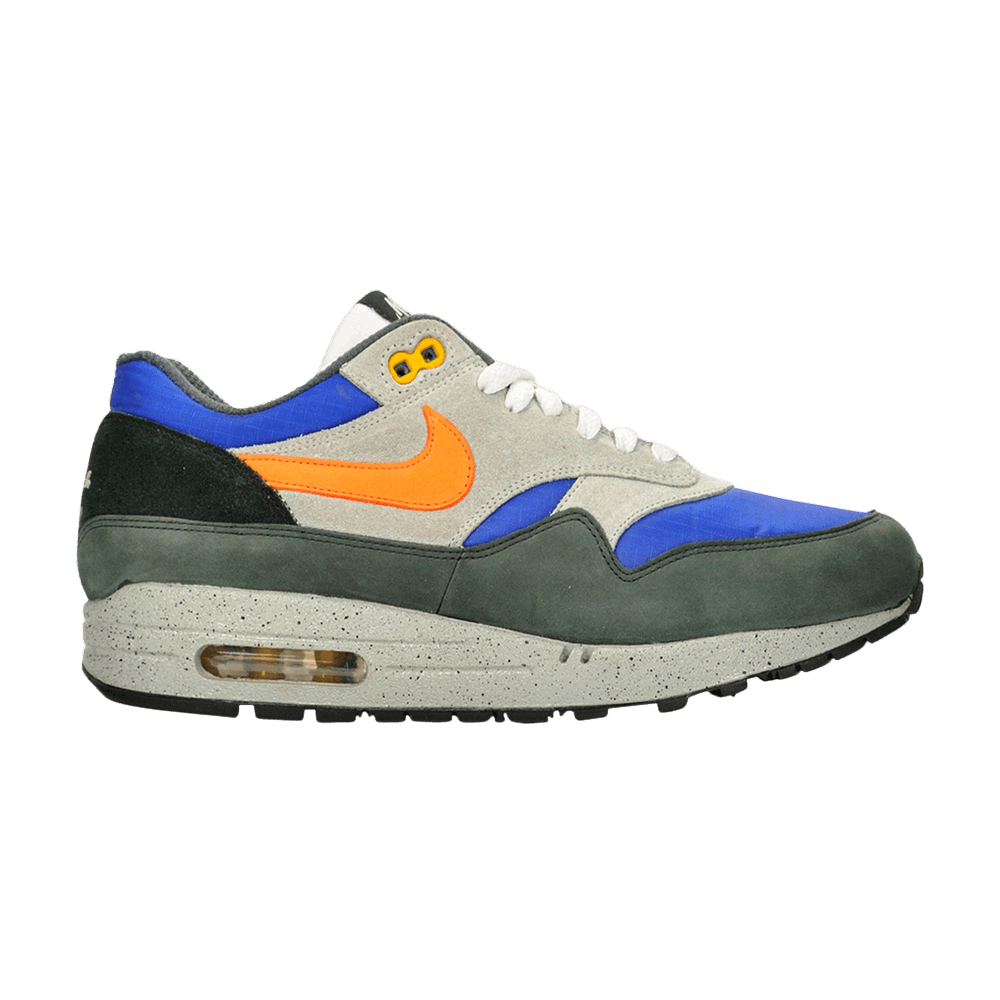 Кроссовки Nike Air Max 1 'Skulls Pack - Royal'
