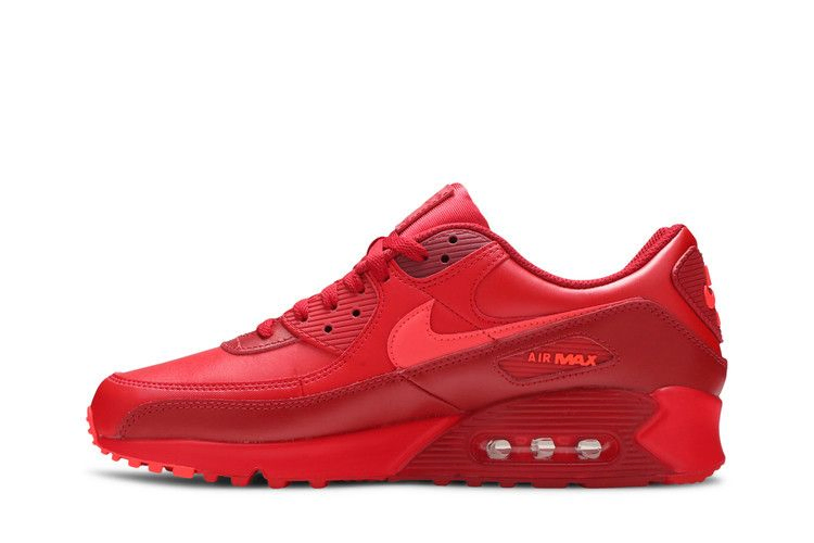 Кроссовки Nike Air Max 90 'City Special - Chicago'
