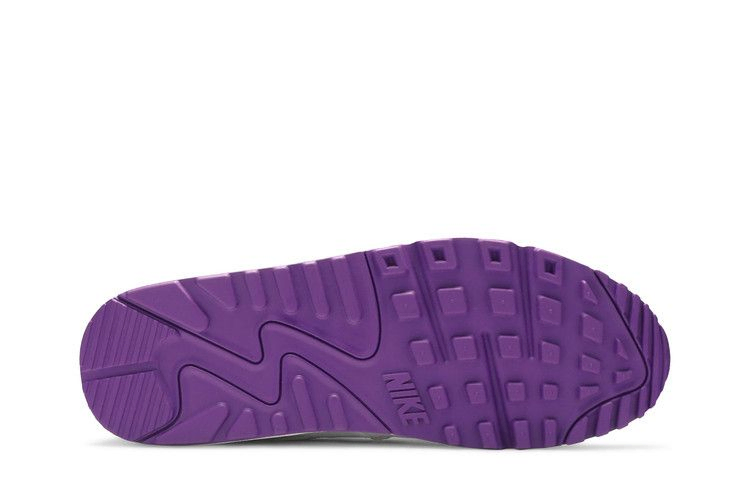Кроссовки Nike Air Max 90 'Color Pack - Court Purple'