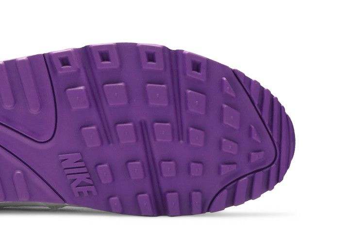 Кроссовки Nike Air Max 90 'Color Pack - Court Purple'
