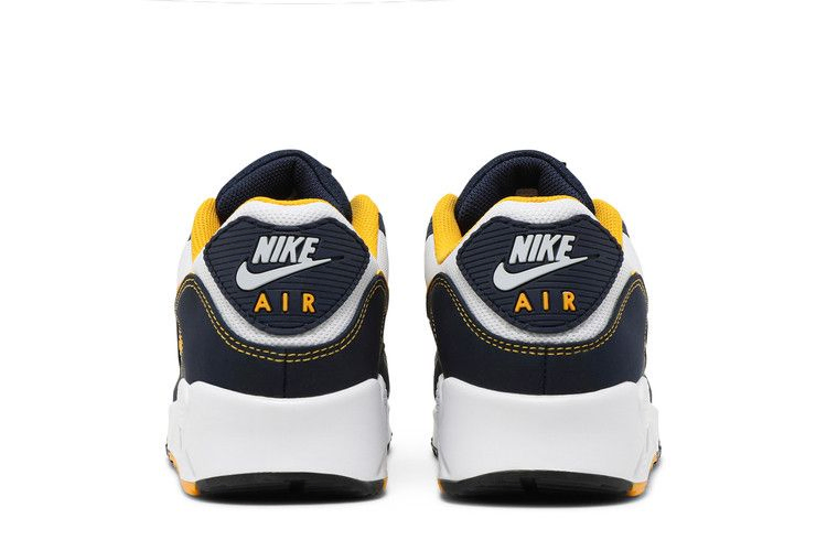 Кроссовки Nike Air Max 90 'Dunk From Above'