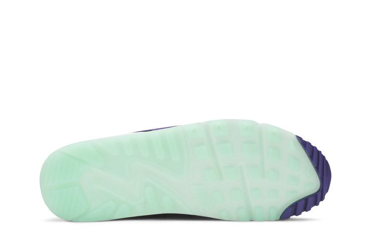 Кроссовки Nike Air Max 90 'Exotic Animal Pack - Violet Blend'