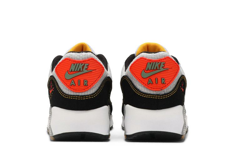 Кроссовки Nike Air Max 90 'Fresh Perspective'