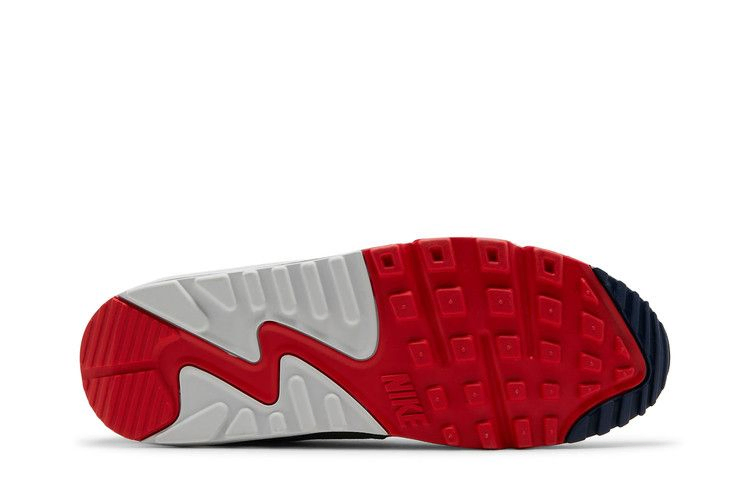 Кроссовки Nike Air Max 90 'USA 2021 - Pure Platinum'