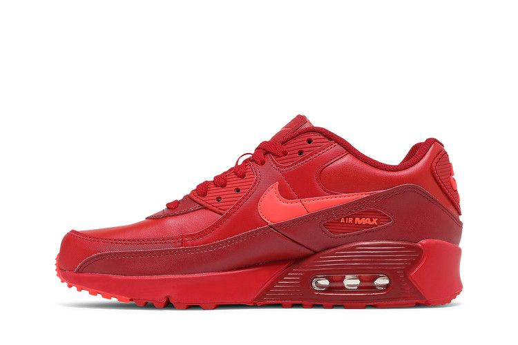 Кроссовки Nike Air Max 90 GS 'City Special - Chicago'