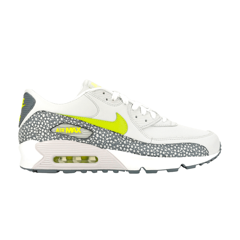 air-max-90-leather-cactus-pack-302519-031