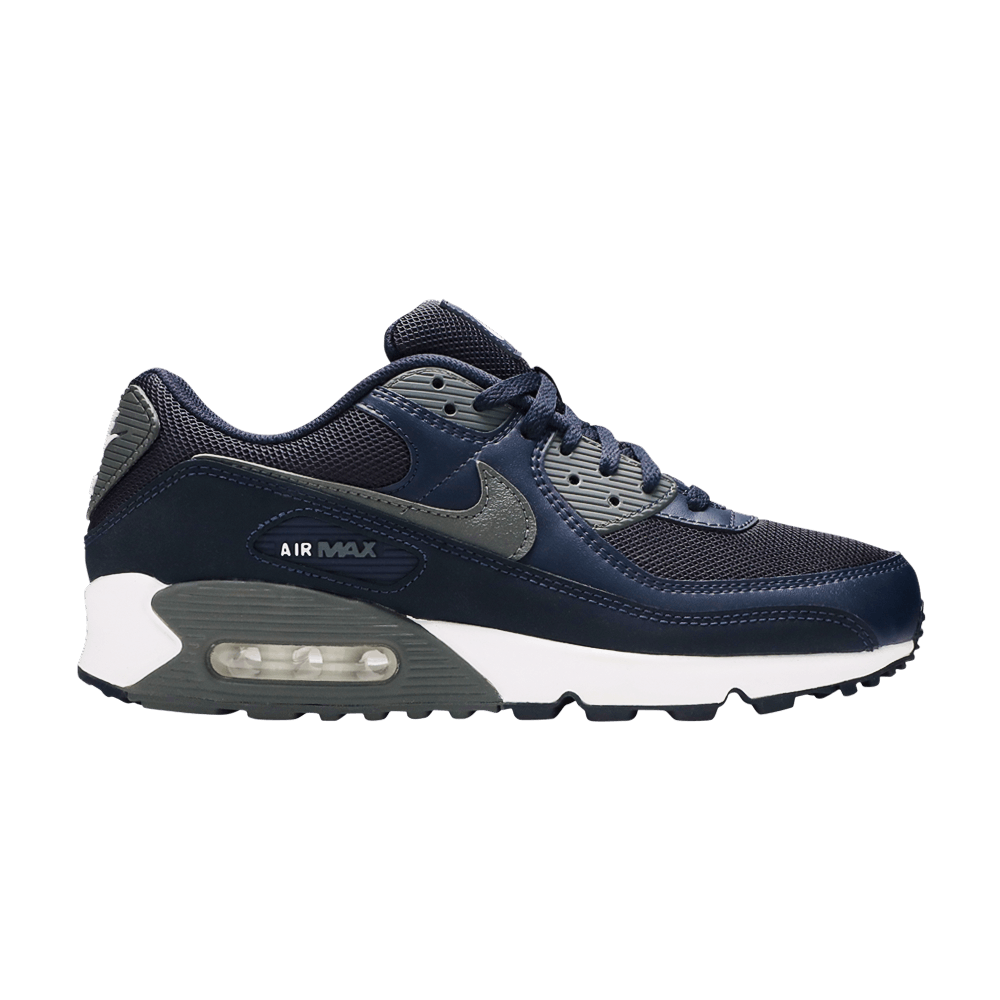 Кроссовки Nike Air Max 90 'Obsidian Iron Grey'