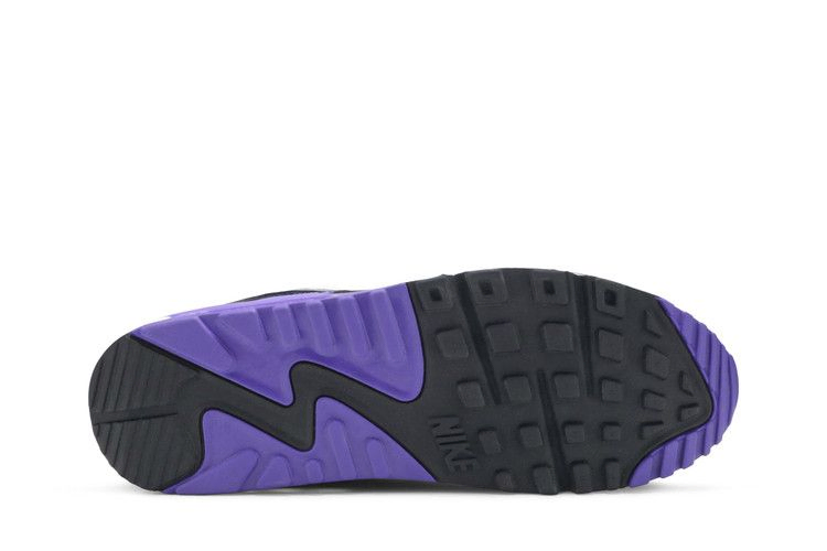 Кроссовки Nike Wmns Air Max 90 'Hyper Grape'