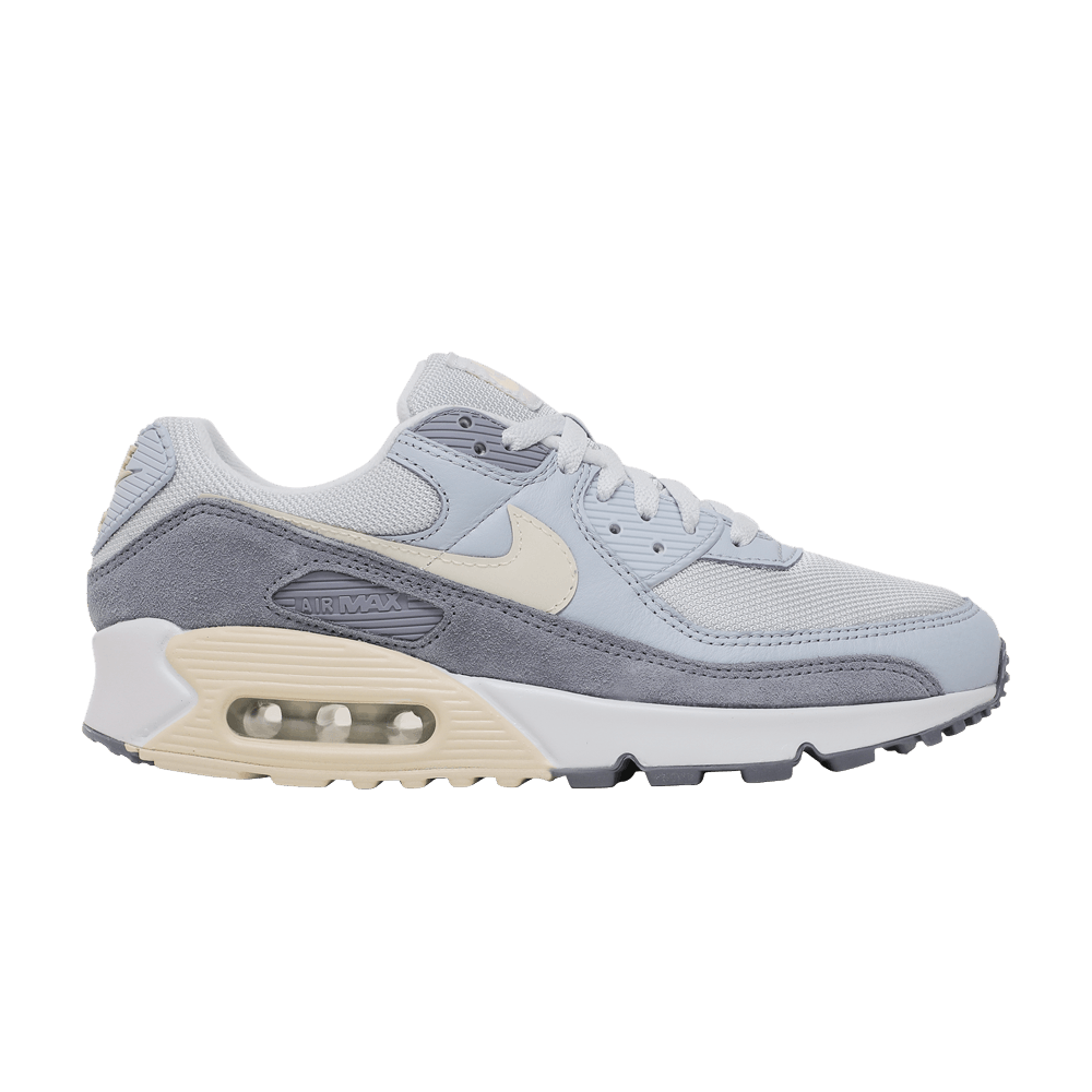 Кроссовки Nike Air Max 90 Premium 'Ashen Slate'
