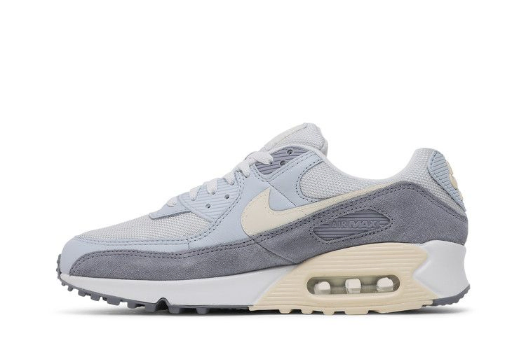 Кроссовки Nike Air Max 90 Premium 'Ashen Slate'