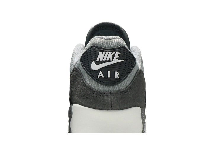 Кроссовки Nike Air Max 90 Premium 'Light Smoke Grey'