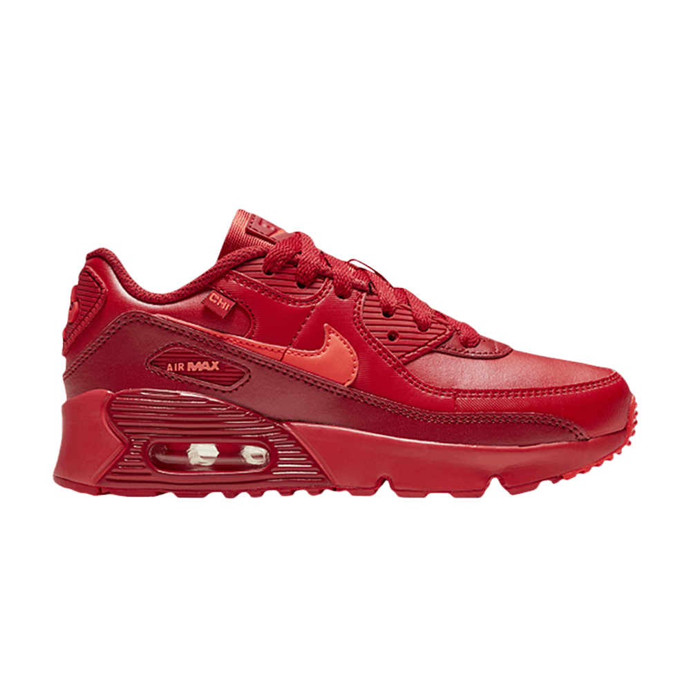 Кроссовки Nike Air Max 90 PS 'City Special - Chicago'