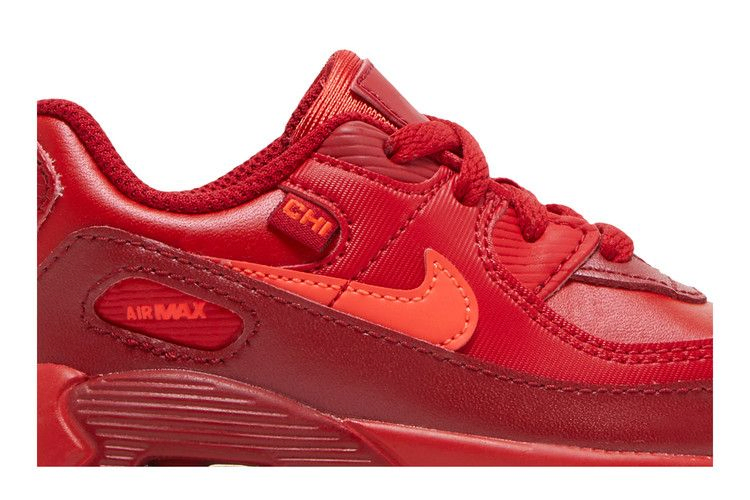 Кроссовки Nike Air Max 90 TD 'City Special - Chicago'