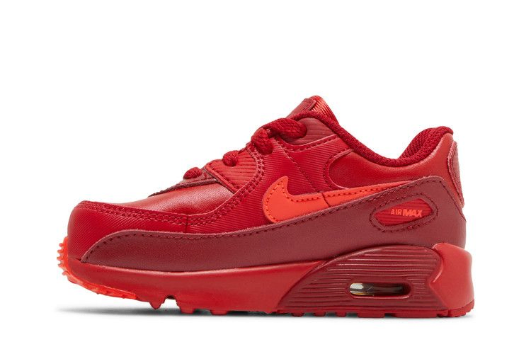 Кроссовки Nike Air Max 90 TD 'City Special - Chicago'