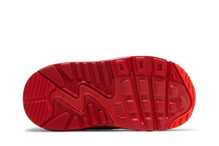 Кроссовки Nike Air Max 90 TD 'City Special - Chicago'