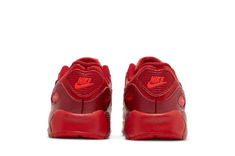Кроссовки Nike Air Max 90 TD 'City Special - Chicago'