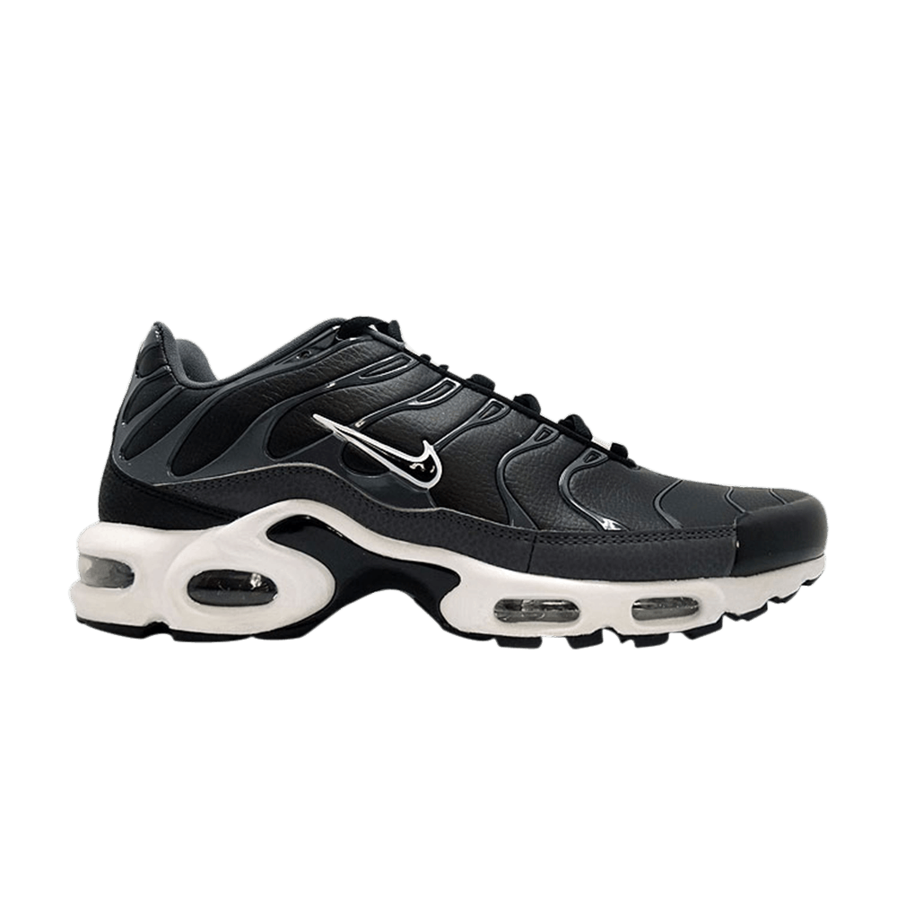 air-max-plus-604133-099