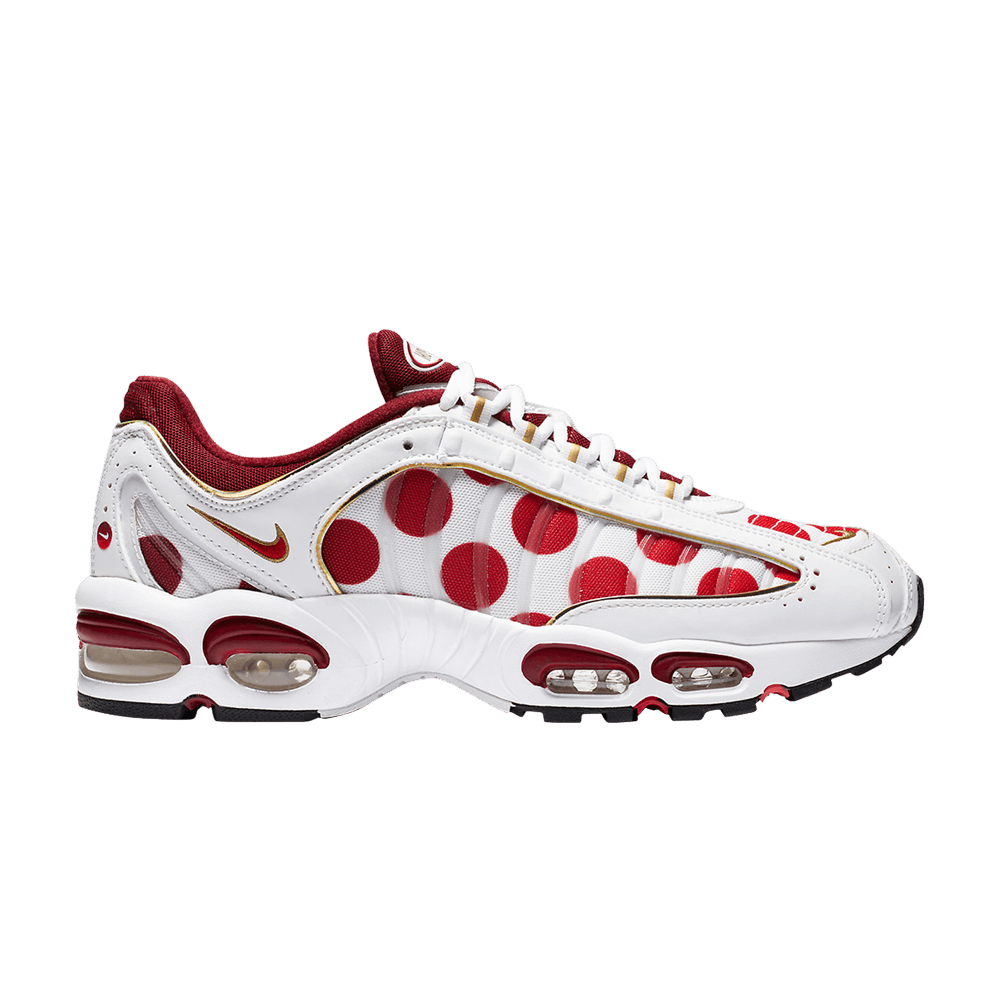 air-max-tailwind-4-nippon-cw4810-167