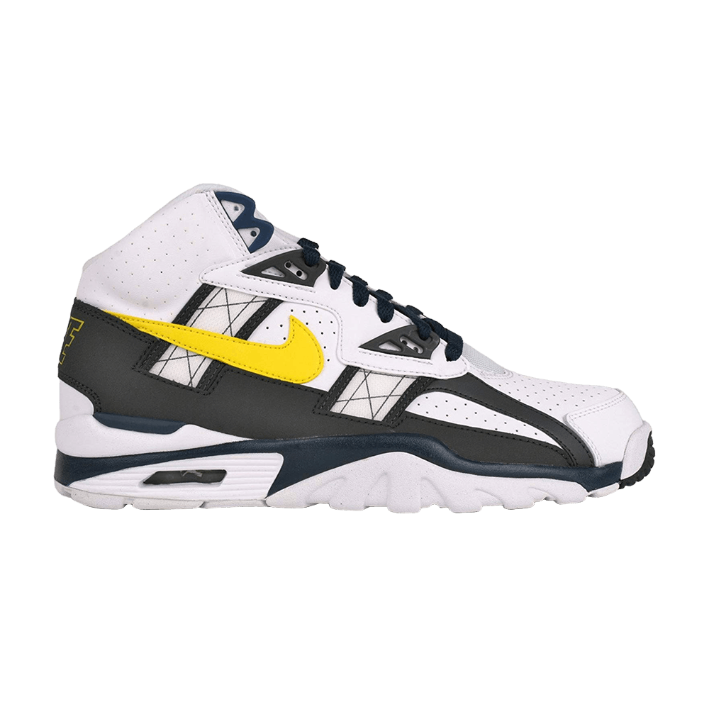 air-trainer-sc-high-302346-110