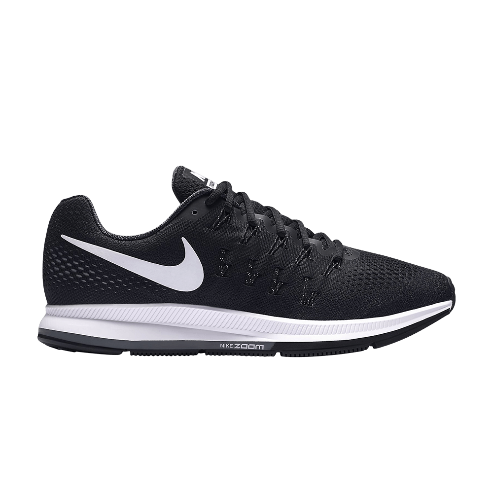 air-zoom-pegasus-33-831352-001