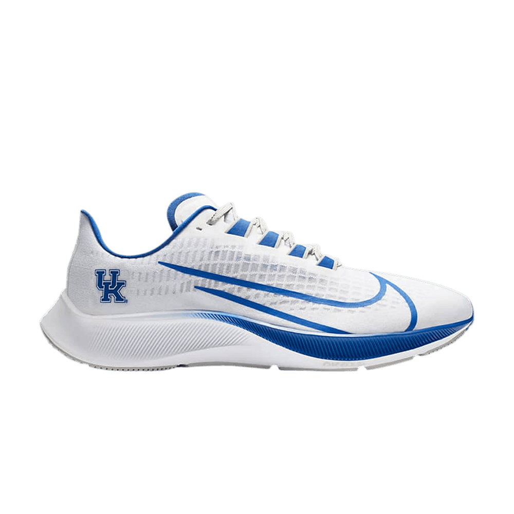 air-zoom-pegasus-37-kentucky-cz5382-100
