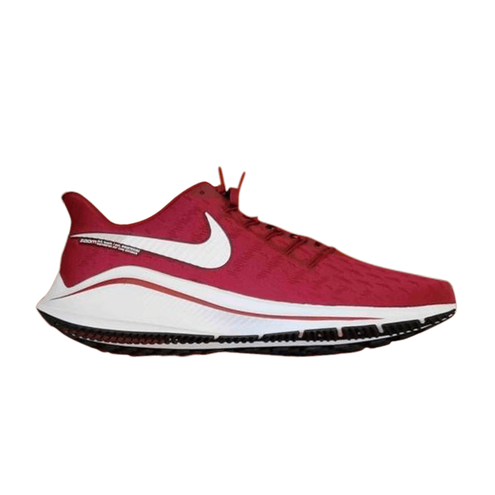 Кроссовки Nike Air Zoom Vomero 14 TB 'Team Maroon'